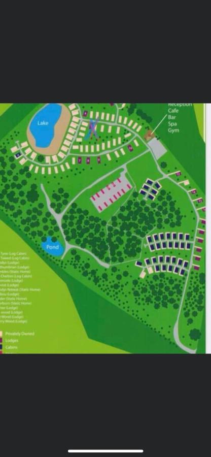 Sunny Daze Villa Morpeth Ngoại thất bức ảnh